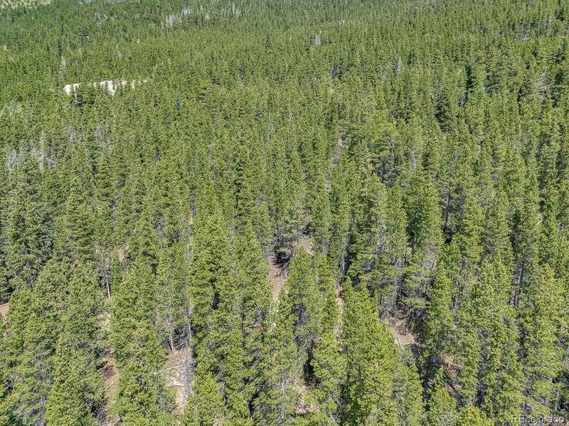 Lot 836 Nebraska Dr Lot 836, Idaho Springs, CO 80452