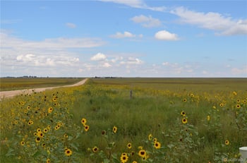 Parcel 7 County Rd V, Rush, CO 80833