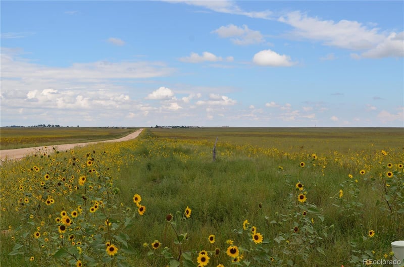 Parcel 7 County Rd V, Rush, CO 80833