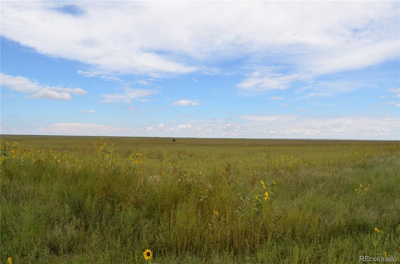 Parcel 7 County Rd V, Rush, CO 80833