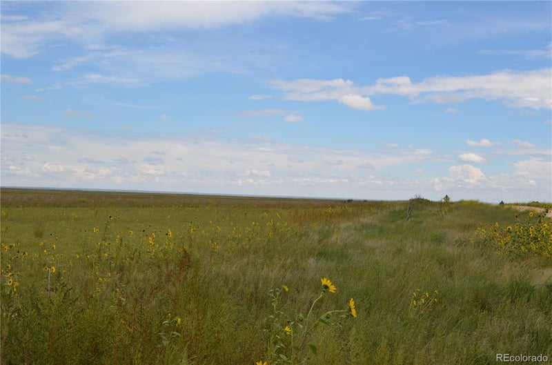Parcel 7 County Rd V, Rush, CO 80833