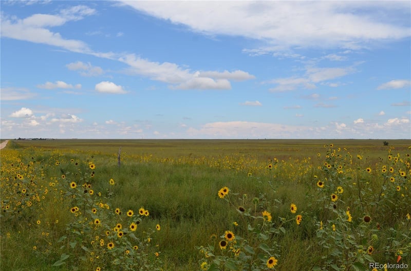 Parcel 7 County Rd V, Rush, CO 80833