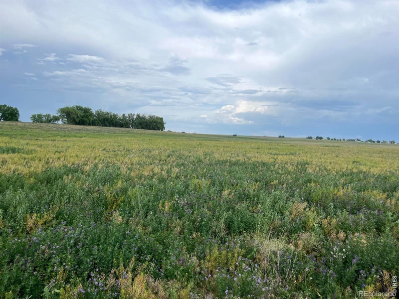 County Road 33, Platteville, CO 80651