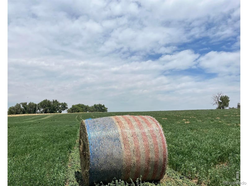 County Road 34, Platteville, CO 80651