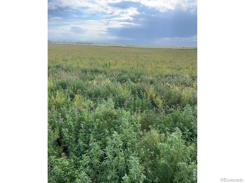 County Road 34, Platteville, CO 80651
