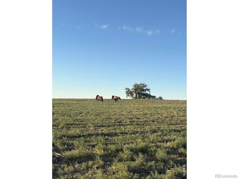 County Road 35 #B, Platteville, CO 80651