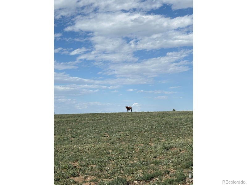 County Road 35 #B, Platteville, CO 80651
