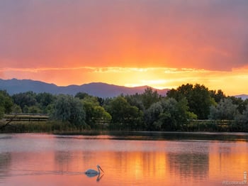 1530 Waterfront Dr, Windsor, CO 80550