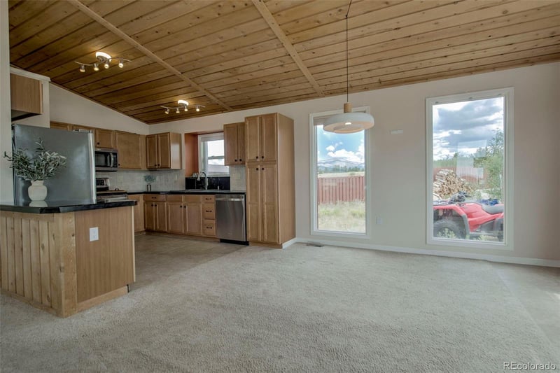 119 Bristlecone Ln, Fairplay, CO 80440