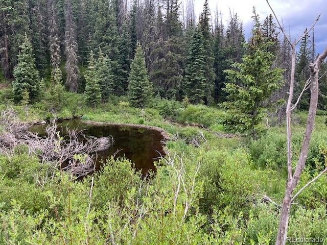 Lot 6644 Phillips Rd, San Luis, CO 81152