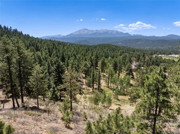 1150 Forest Hill Pl, Woodland Park, CO 80863