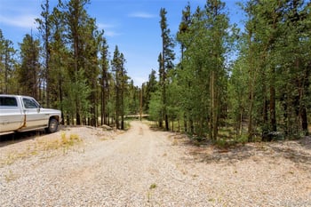 271 Willow Ln, Alma, CO 80420