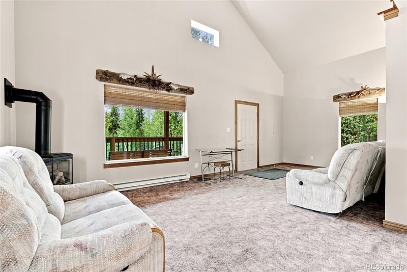 271 Willow Ln, Alma, CO 80420