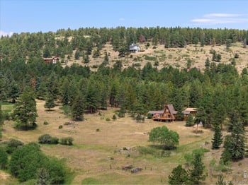 1650 Lazy Z Rd, Nederland, CO 80466