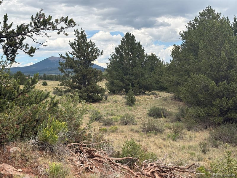 1344 Silverheels Rd, Fairplay, CO 80440