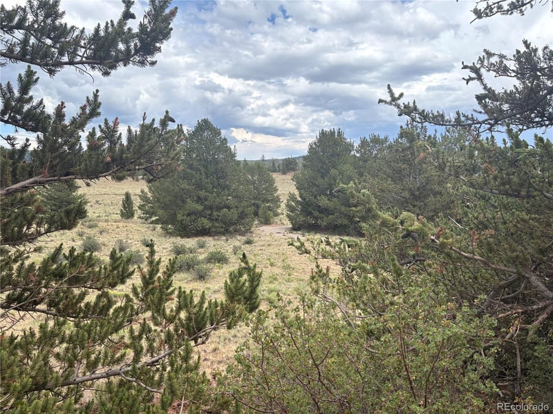 1344 Silverheels Rd, Fairplay, CO 80440