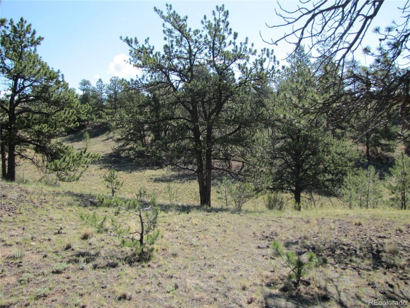 984 Arapahoe Trl, Hartsel, CO 80449