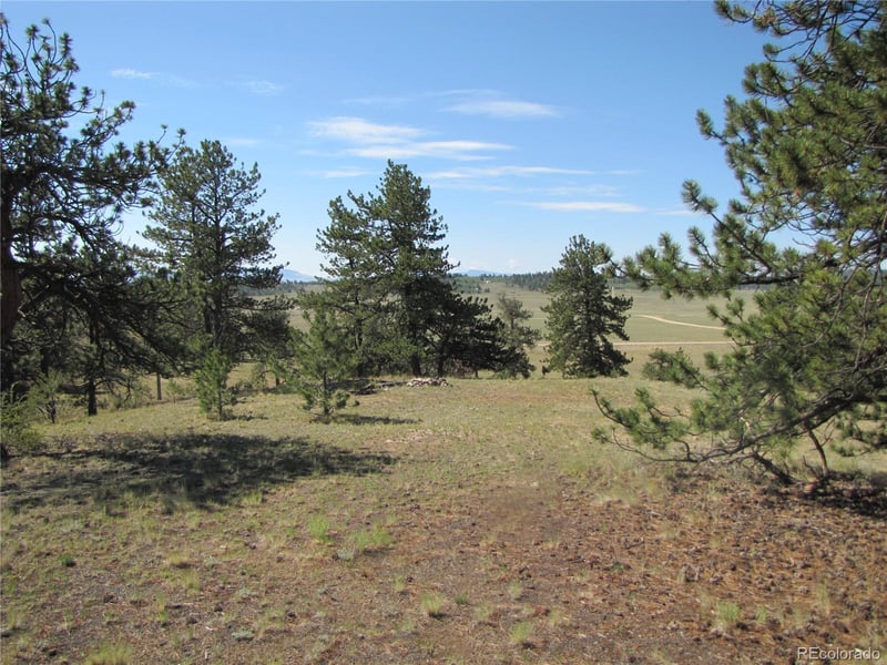 984 Arapahoe Trl, Hartsel, CO 80449