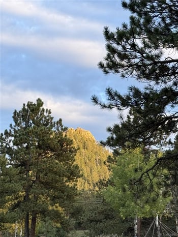 5809 S Skyline Dr, Evergreen, CO 80439