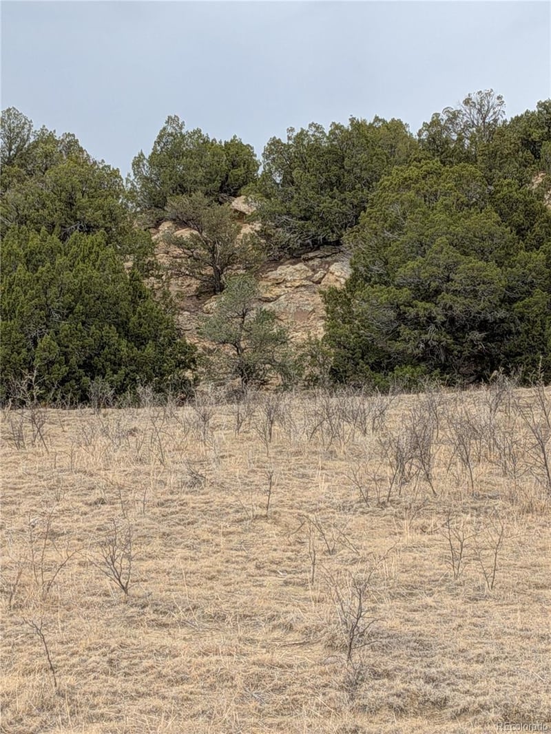 Lot 32540 County Road 525, Walsenburg, CO 81089