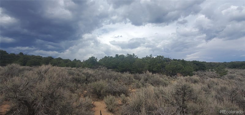 Lot 3968 Kruesi Rd Lot 3968, Fort Garland, CO 81133