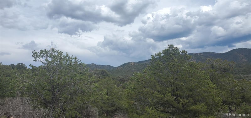 Lot 3968 Kruesi Rd Lot 3968, Fort Garland, CO 81133