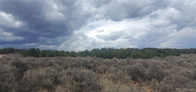 Lot 3968 Kruesi Rd Lot 3968, Fort Garland, CO 81133
