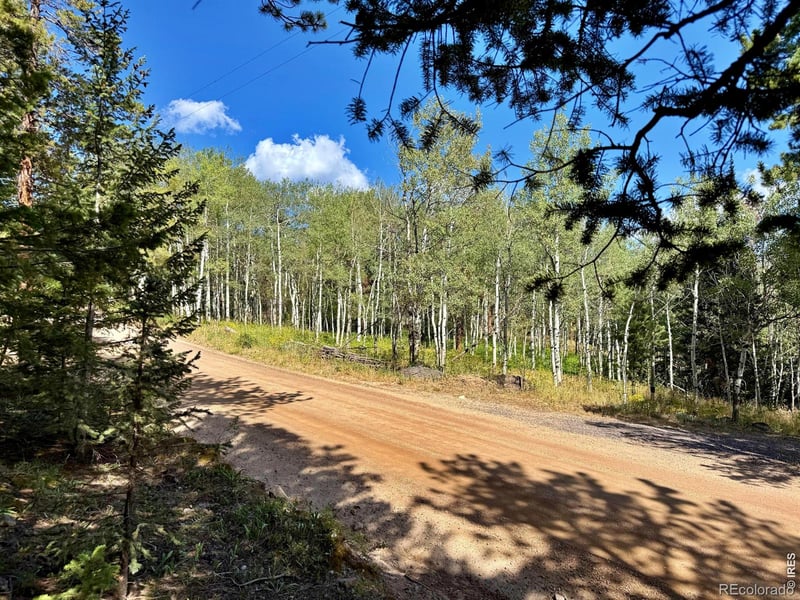 312 Ridge Rd, Ward, CO 80481