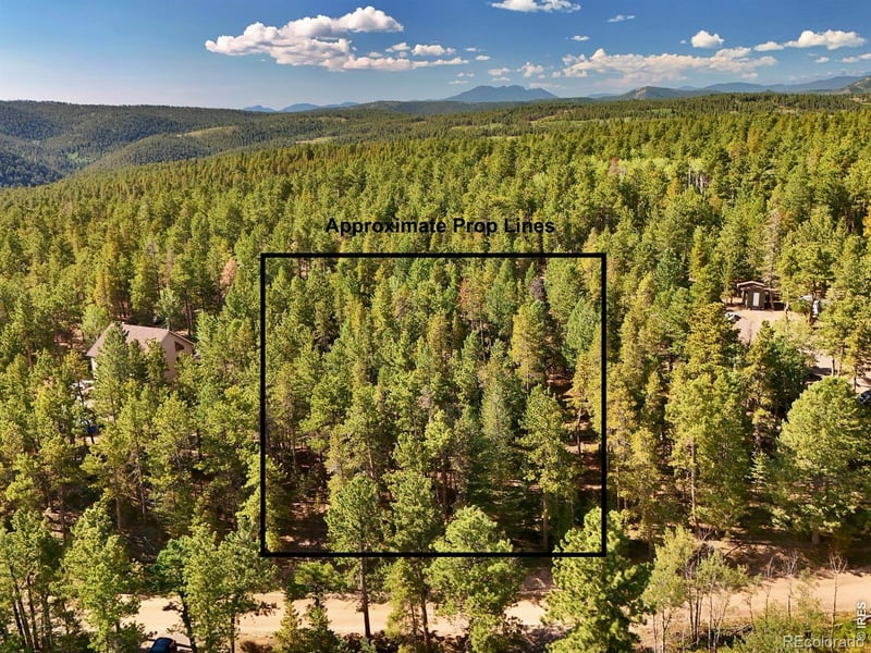 312 Ridge Rd, Ward, CO 80481