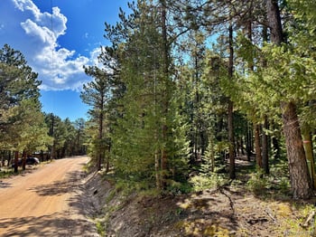 312 Ridge Rd, Ward, CO 80481