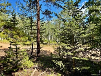 312 Ridge Rd, Ward, CO 80481