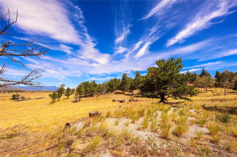 2113 Packer Pl, Fort Garland, CO 81133