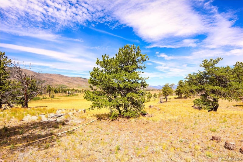 2113 Packer Pl, Fort Garland, CO 81133