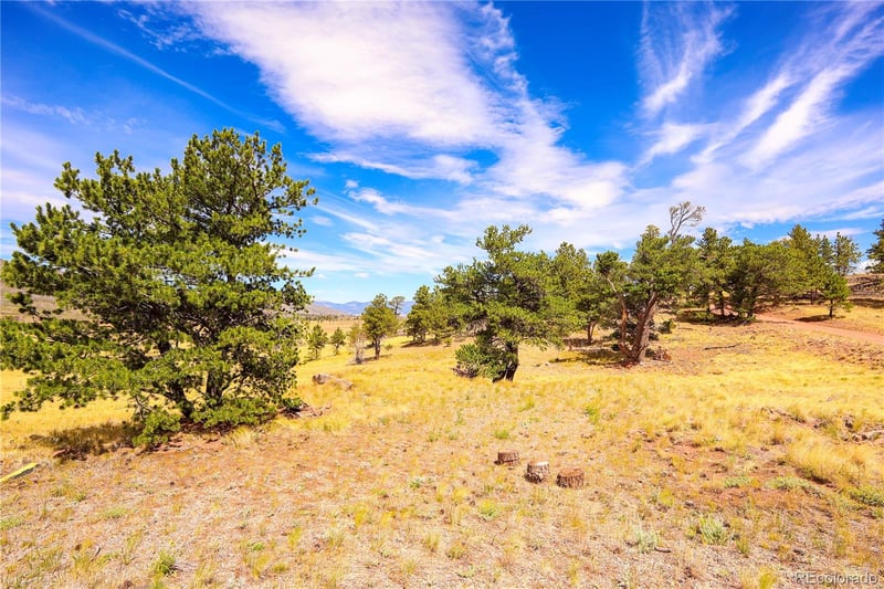 2113 Packer Pl, Fort Garland, CO 81133