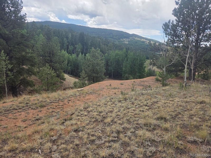 1124 Yorktown Rd, Cripple Creek, CO 80813