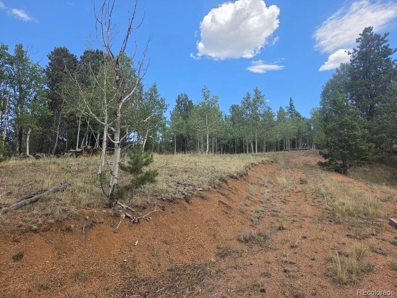 1124 Yorktown Rd, Cripple Creek, CO 80813
