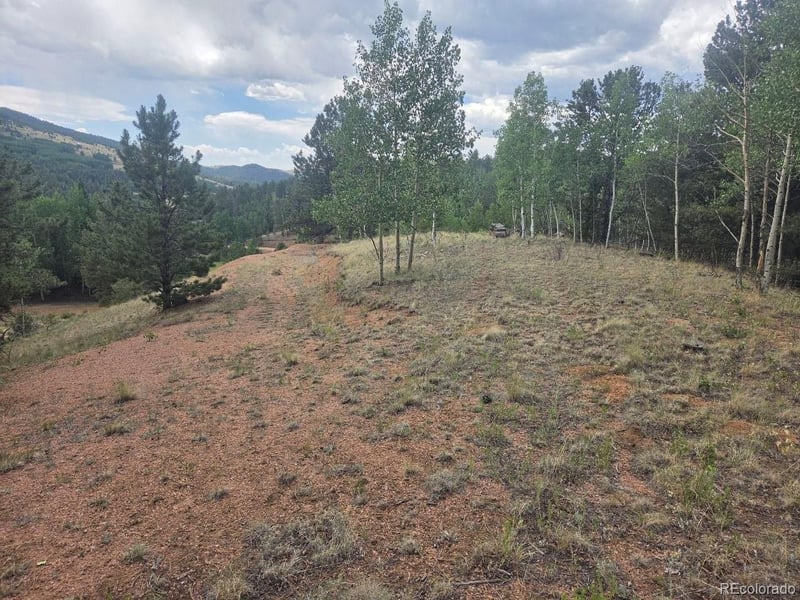 1124 Yorktown Rd, Cripple Creek, CO 80813