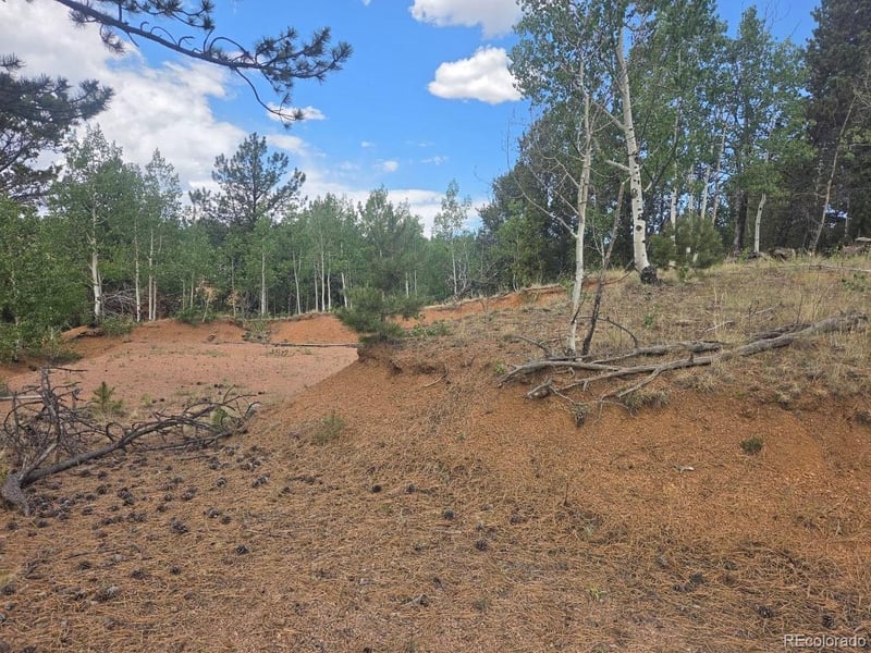 1124 Yorktown Rd, Cripple Creek, CO 80813