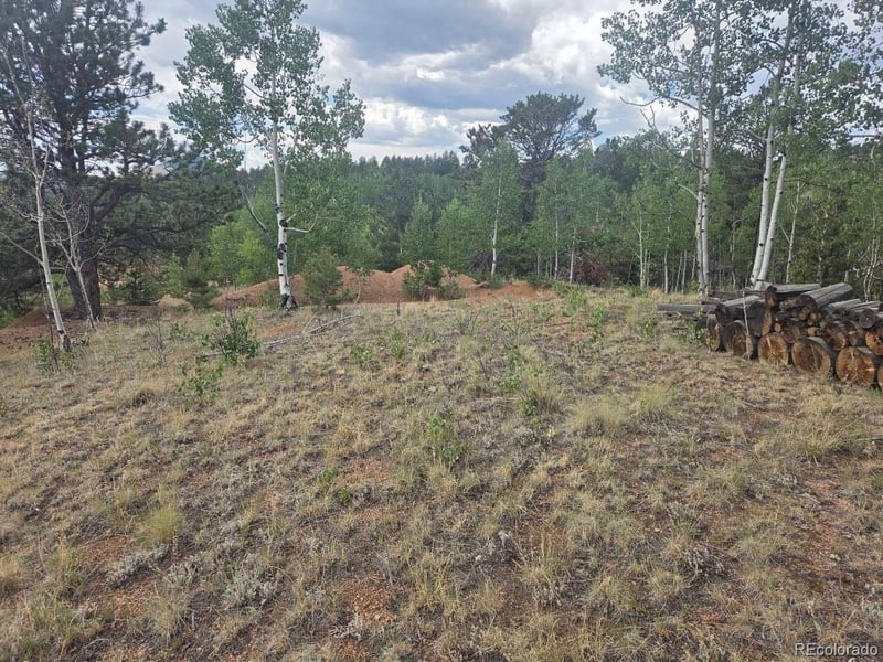 1124 Yorktown Rd, Cripple Creek, CO 80813