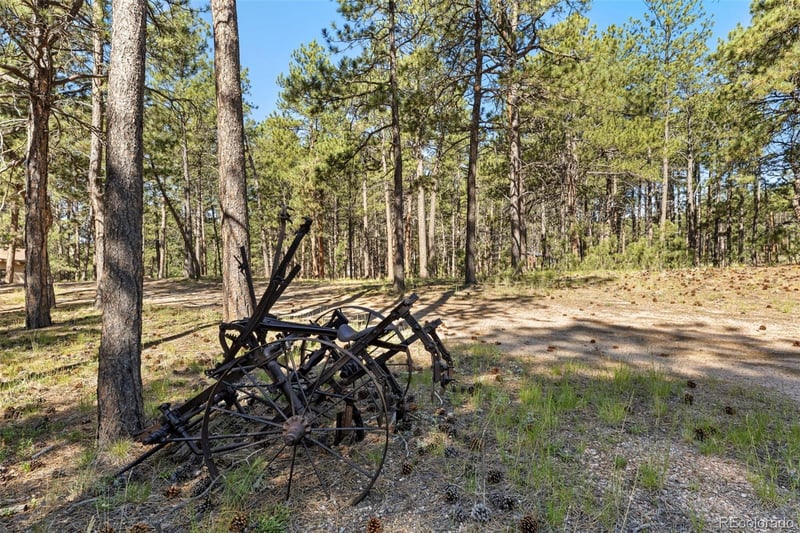 7005 Shoup Rd, Colorado Springs, CO 80908
