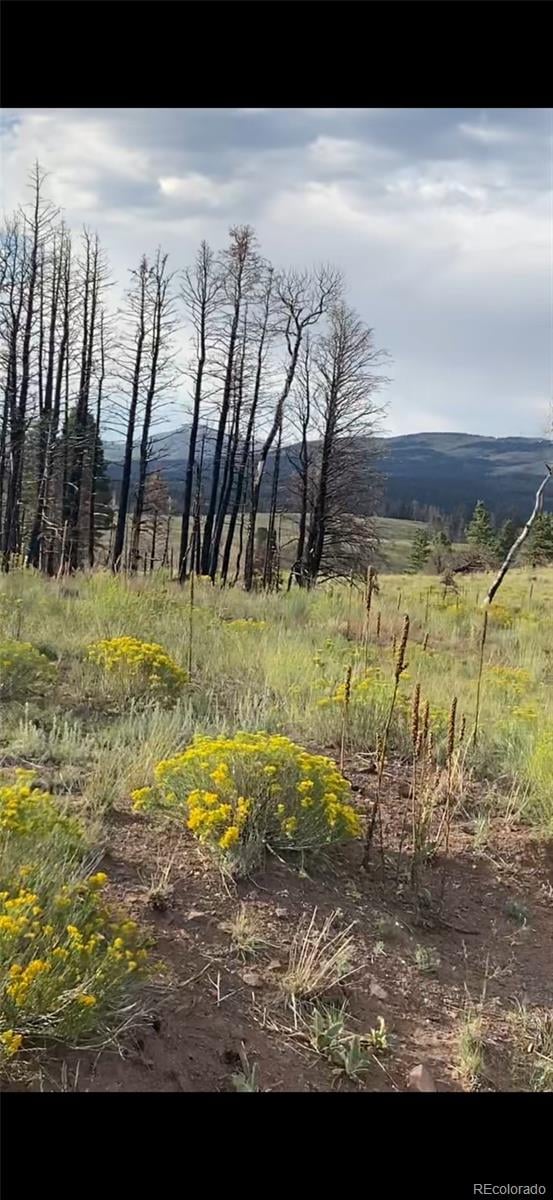 768 Shepard Pl, Fort Garland, CO 81133
