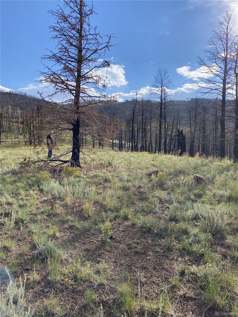 768 Shepard Pl, Fort Garland, CO 81133