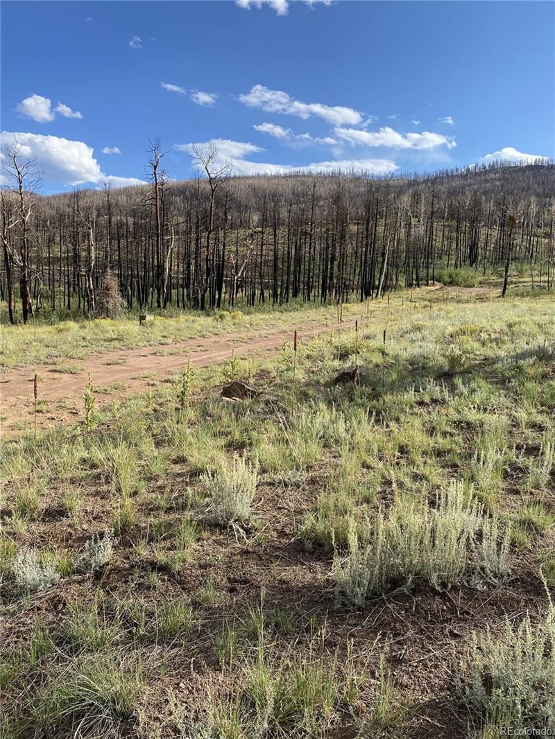 768 Shepard Pl, Fort Garland, CO 81133