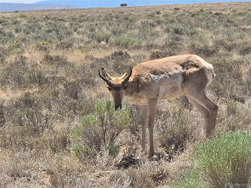 Lot 20 Gallup Trl, San Luis, CO 81152