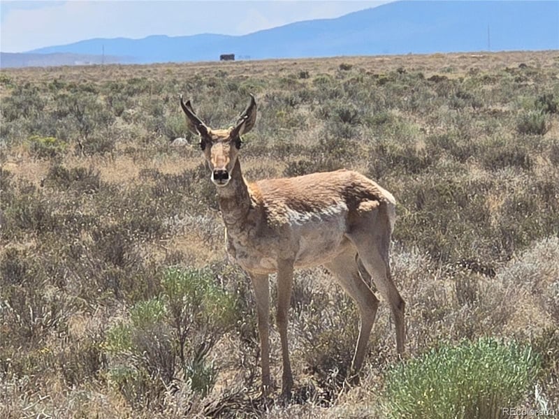 Lot 20 Gallup Trl, San Luis, CO 81152