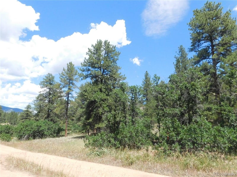 4977 Mohawk Dr, Larkspur, CO 80118