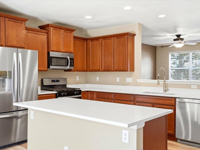 1981 Amber Sun Ct, Castle Rock, CO 80108