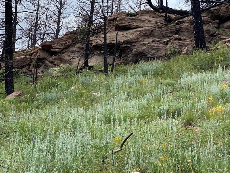 LOT 218 Wergeles Pl, Fort Garland, CO 81133
