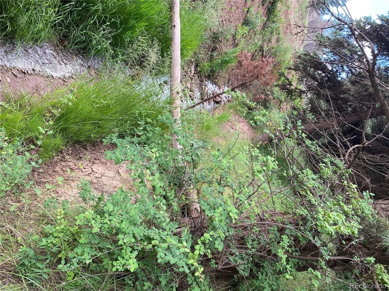 LOT 218 Wergeles Pl, Fort Garland, CO 81133