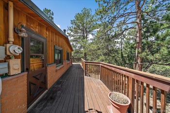 168 Juniper Ln, Bailey, CO 80421